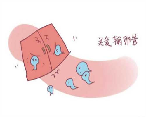 捐卵医院辅助生育试管公司组织机构与供卵试管婴儿价格及三代试管助孕指南