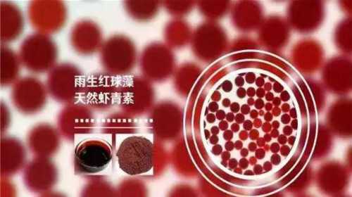 深圳供卵试管助孕价格与子宫缺失替代方案解析