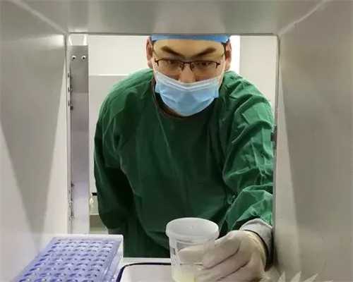选择优质代生服务的指南与费用解析